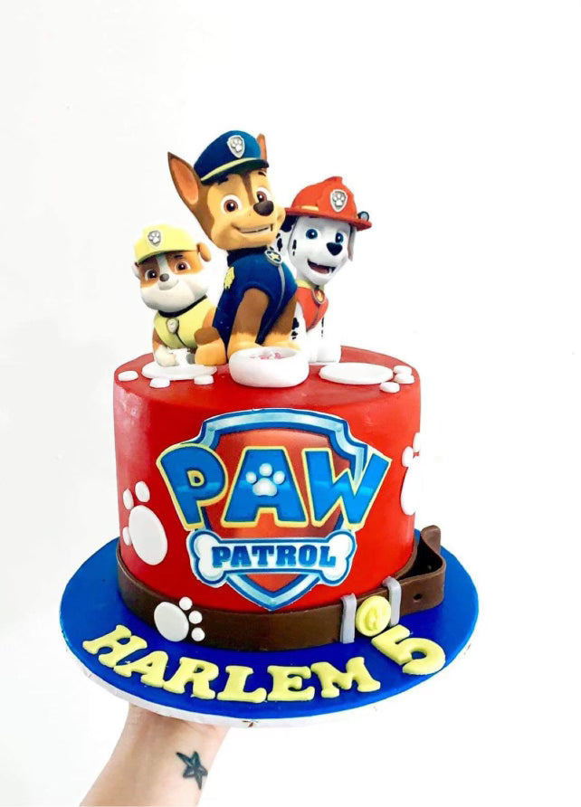 Paw Patrol Cake